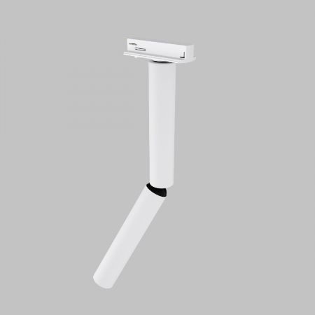 Maytoni TR142-1-6W3K-W