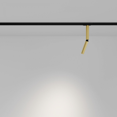 Maytoni TR142-1-6W3K-BS