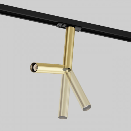 Maytoni TR142-1-6W3K-BS