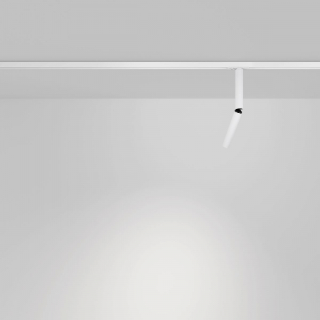 Maytoni TR142-1-6W4K-W