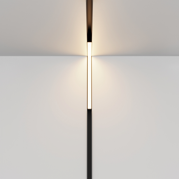 Трековый магнитный светильник Maytoni Technical Magnetic track system Exility Basis TR102-24W-DS-B