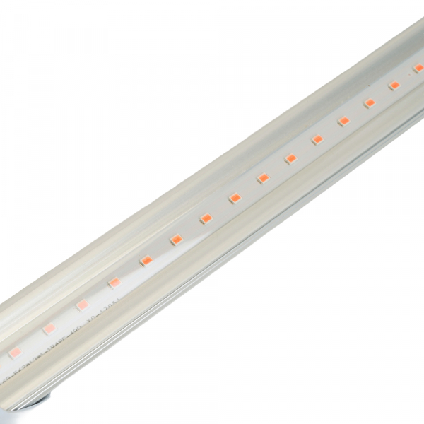 Лампа для растений Feron LB-7063 G13 11W 38278