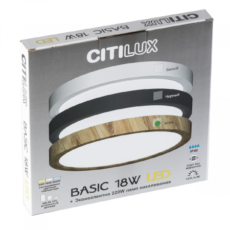 Citilux CL738122N