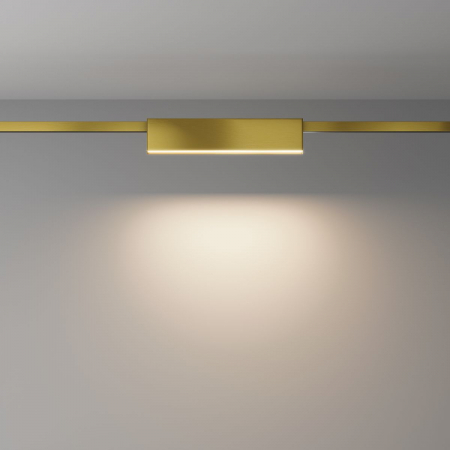 Maytoni TR151-1-12W3K-BS