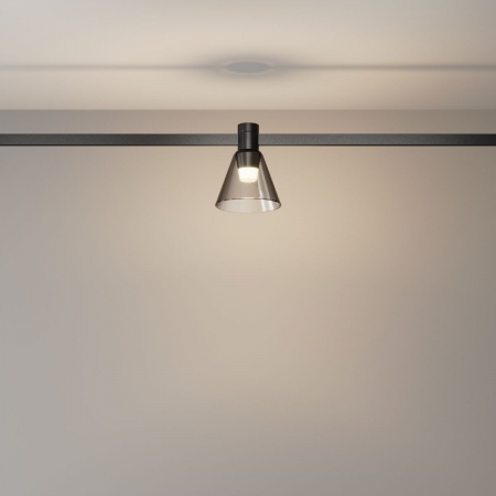 Maytoni TR147-1-3W3K-B