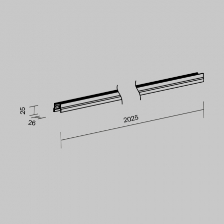 Maytoni O-TR001-P-B2M