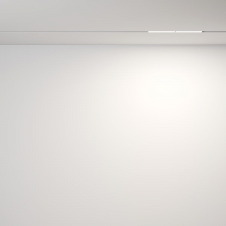 Maytoni TR106-2-12W4K-W