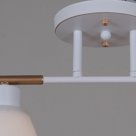 Reluce 07594-0.3-02 WG