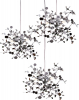 Lightstar L3PR721134