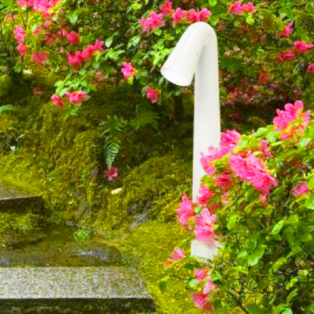 Fumagalli ST1.531.000.WXZ1L