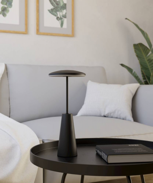 Уличная настольная лампа Eglo Piccola 900925