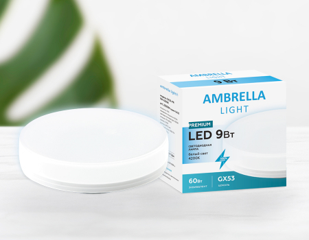 Ambrella Light 253094
