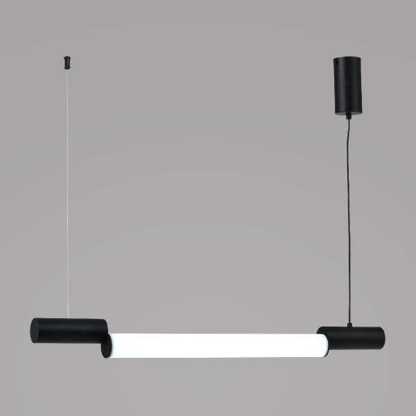 Подвесной светильник Zortes Nepo ZRS.1888.10