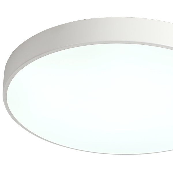 Потолочный светильник Zortes Tortty ZRS.02564.96