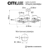 Citilux CL421273