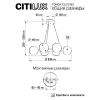 Citilux CL212163