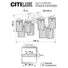 Citilux CL313281