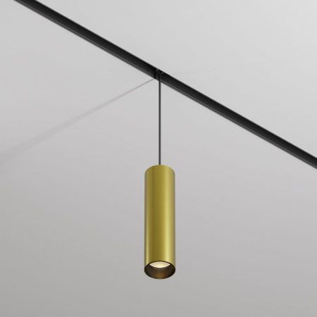 Maytoni TR041-2-12W3K-BBS