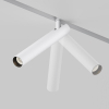 Maytoni TR141-2-6W3K-M-W