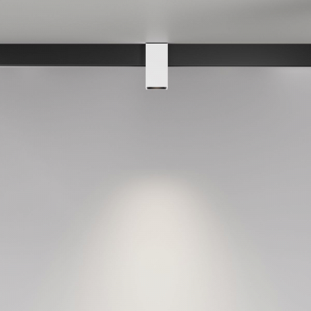 Maytoni TR121-2-7W4K-W