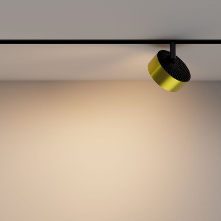 Maytoni TR040-2-18W3K-BBS