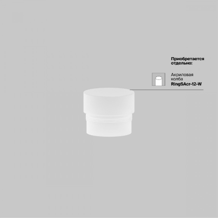 Maytoni C053CL-L12W3K-W-BS