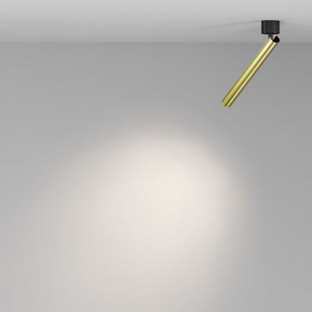 Maytoni C141CL-L300-6W4K-BBS