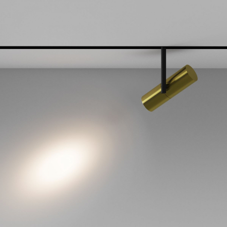 Maytoni TR005-2-12W3K-BBS