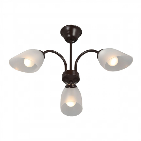 Vitaluce V3335-7/3PL