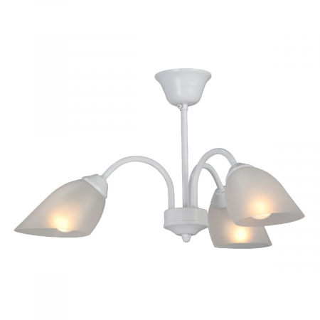 Vitaluce V3336-0/3PL