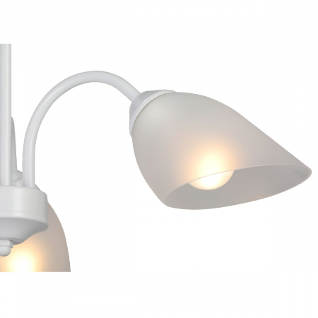 Vitaluce V3336-0/3PL