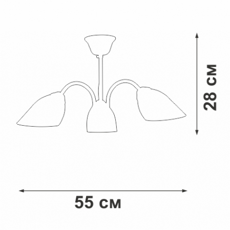 Vitaluce V3336-0/3PL