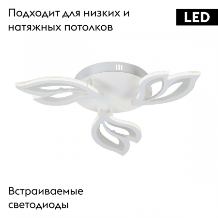 Vitaluce V3893-0/3PL