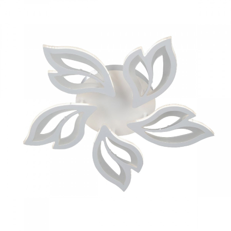 Vitaluce V3893-0/5PL