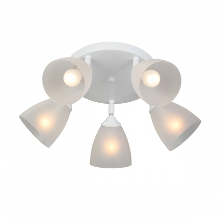 Vitaluce V4355-0/5PL