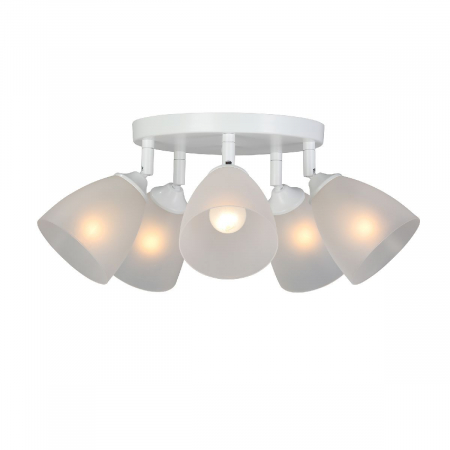 Vitaluce V4355-0/5PL