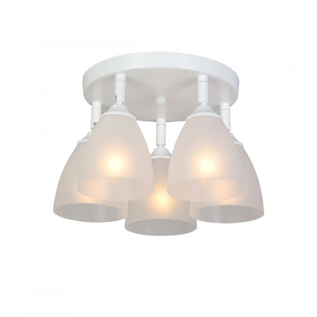 Vitaluce V4355-0/5PL