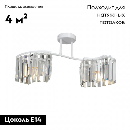 Vitaluce V5884-0/2PL