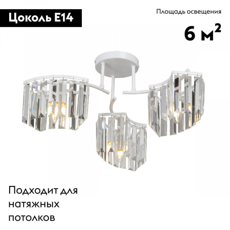 Vitaluce V5884-0/3PL