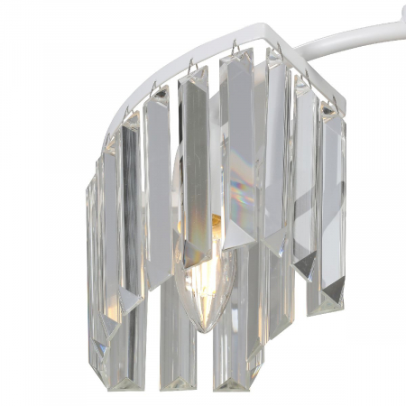 Vitaluce V5884-0/3PL