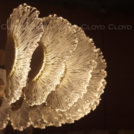 Cloyd 11319