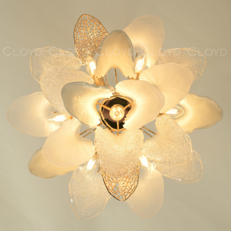 Cloyd 11325