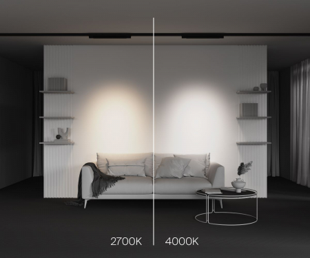 Maytoni TR195-3-20W2.7K-M-B