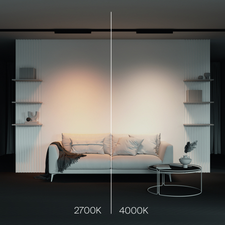 Maytoni TR196-3-20W2.7K-B