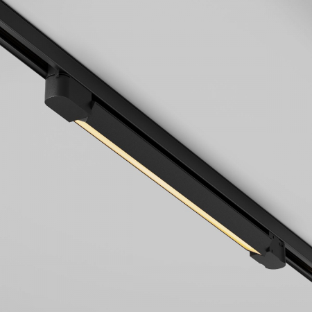 Maytoni TR196-3-20W2.7K-B