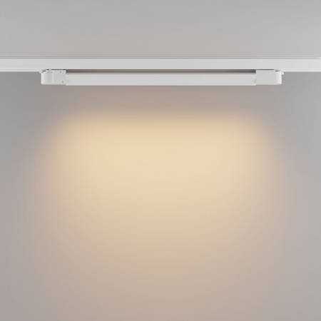 Maytoni TR196-3-20W2.7K-W