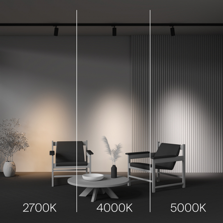 Maytoni TR197-3-20WCCT-M-B