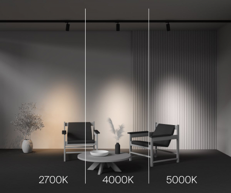 Maytoni TR197-3-20WCCT-M-B