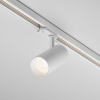 Maytoni TR197-3-20WCCT-M-W
