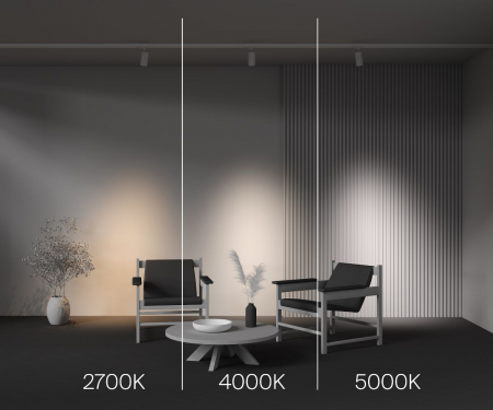Maytoni TR197-3-20WCCT-M-W